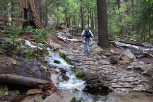 [Odie navigates the Mist Trail down]